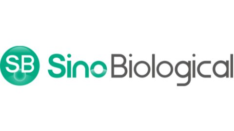 Sino Biological's Company Logo