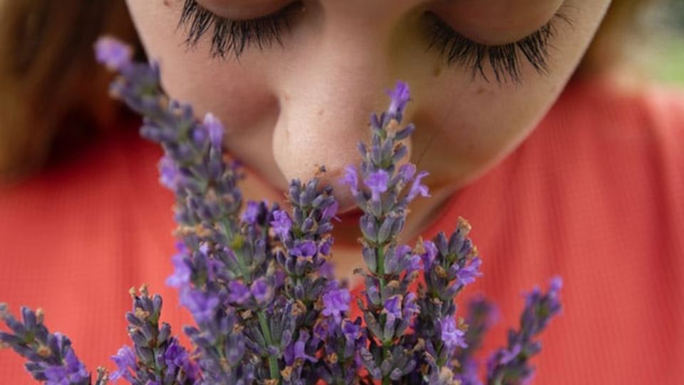 A person smells lavender, illustrating a sense of smell that fails with Alzheimer's development.