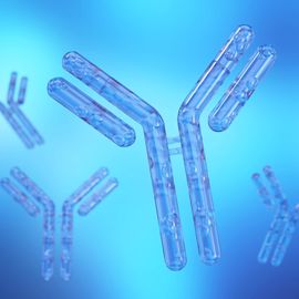 3D illustration of antibodies on a blue background, representing innovation and efficiency in continuous antibody manufacturing. 
