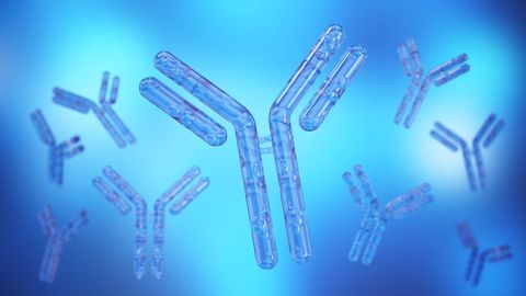 A High Productivity CHO Expression System for Continuous Antibody Manufacturing
