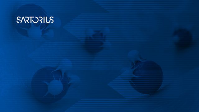 Microscopic view of viral vectors interacting with cells, used in gene therapy research. 