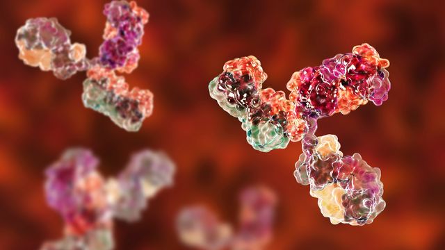 Colorful monoclonal antibodies on a red background. 