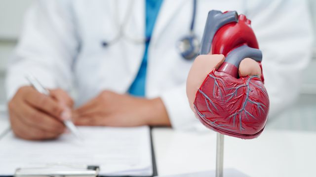 A doctor prescribing therapy with a model of a human heart on the desk. 