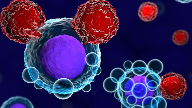 3d render of T cells attacking and killing cancer cells 