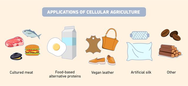 Images representing the uses of cellular agriculture, including cultured meat, food-based alternative proteins, vegan leather, artificial silk, wood and coffee.