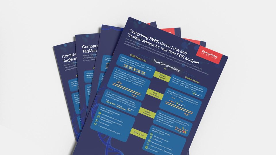 Thermo Fisher Scientific infographic comparing SYBR Green I dye and TaqMan Assays for real-time PCR analysis.