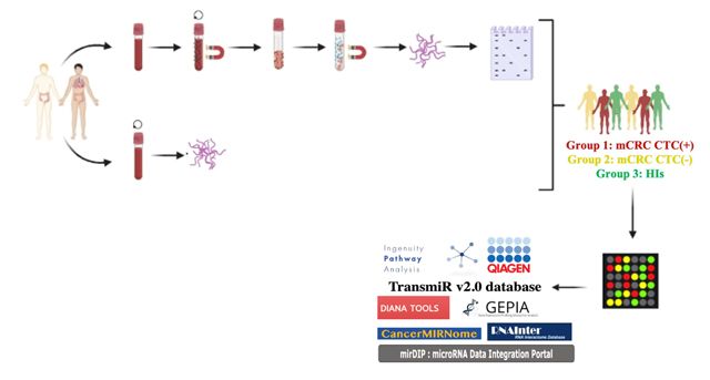 Flow diagram showing the steps of the study illustrated with blood samples, extracted RNA, the experimental groups and tools used to asses the data.