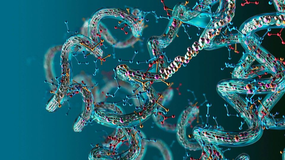 Illustration of protein molecules.