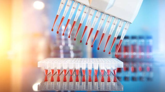 Multichannel Pipette Microbiology Laboratory Science 