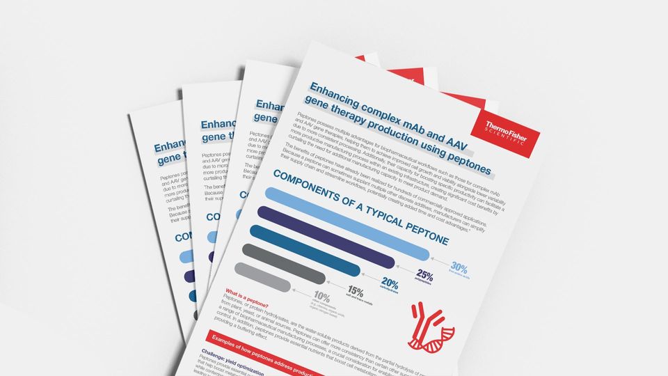 Thermo Fisher infographic detailing components of peptones for enhancing monoclonal antibody and gene therapy production