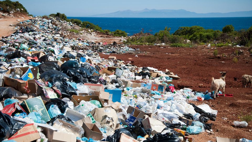 A long mound of rubbish near the shore of the sea. Goats visible.