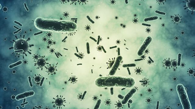 Illustration of green microscopic bacteria and viruses. 