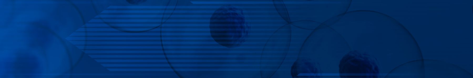 Microscopic view of blue cell co-cultures. 