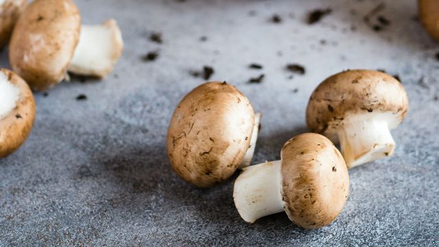 Mushrooms on a grey background. The way gut bacteria metabolize mushrooms has been linked to colorectal cancer in a new study. 