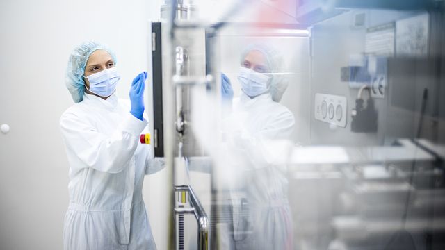A bioprocessing scientist working in a biosafety cabinet as part of cell therapy manufacturing. 