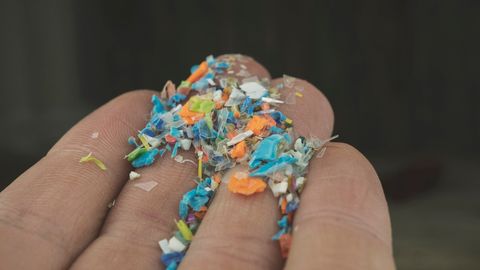 Microplastics Detected in Human Penis for the First Time