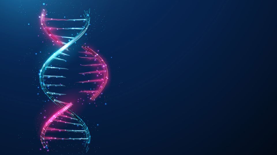 A DNA double helix in pink and blue, with one section (gene) removed, representing CRISPR gene editing.