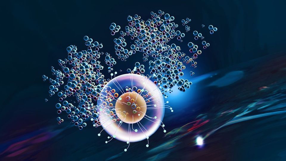 LC-MS workflow for therapeutic drug monitoring in clinical settings.