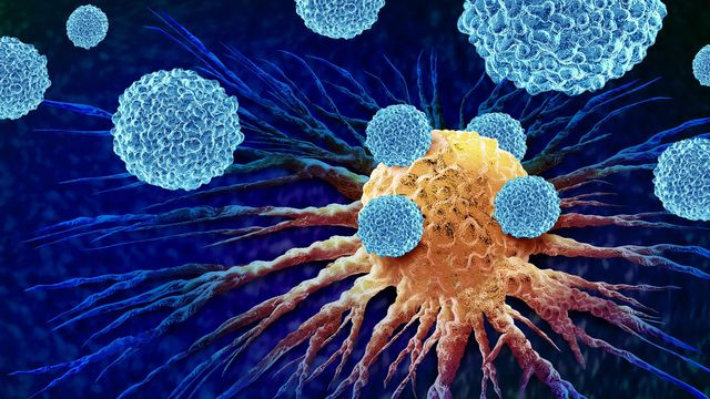 Illustration of immune cells attacking a cancer cell, representing immunotherapy treatment. 