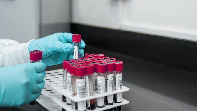 A researchers wearing blue gloves places blood test vials into a rack. 