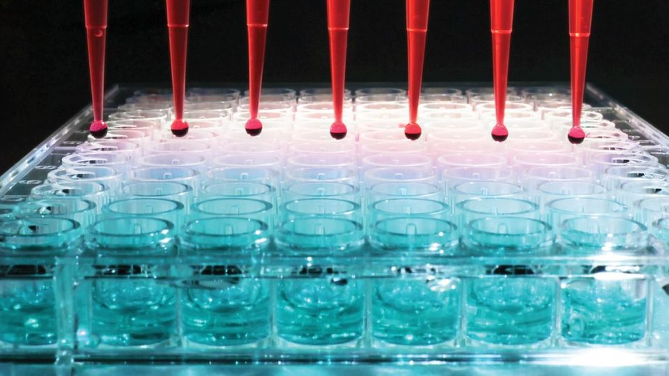 Detailed SCIEX biobanking workflow guide featuring tools for sample processing and data management.