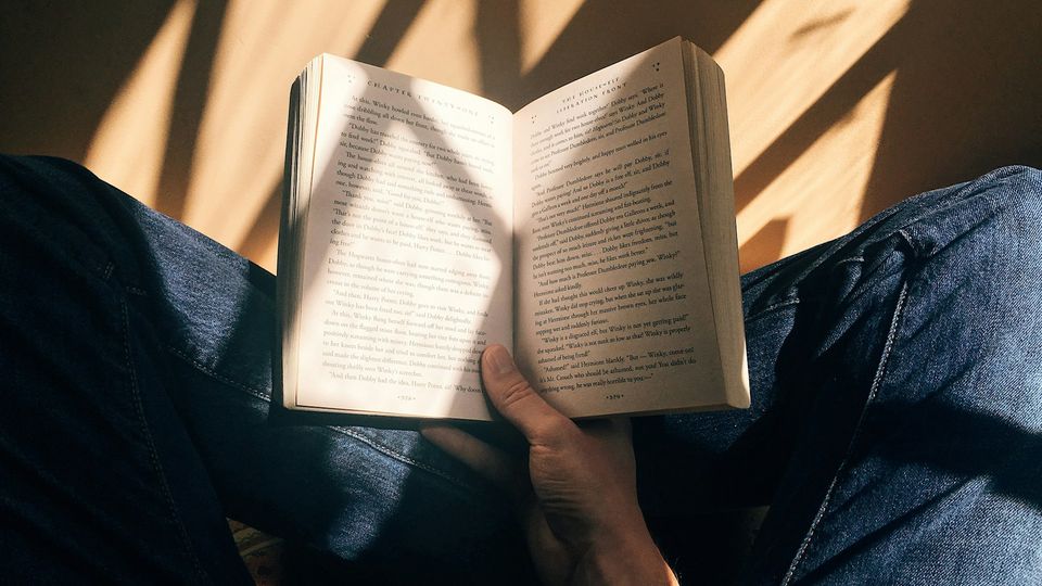 Person reading an open book in sunlight, with shadows cast across their jeans.