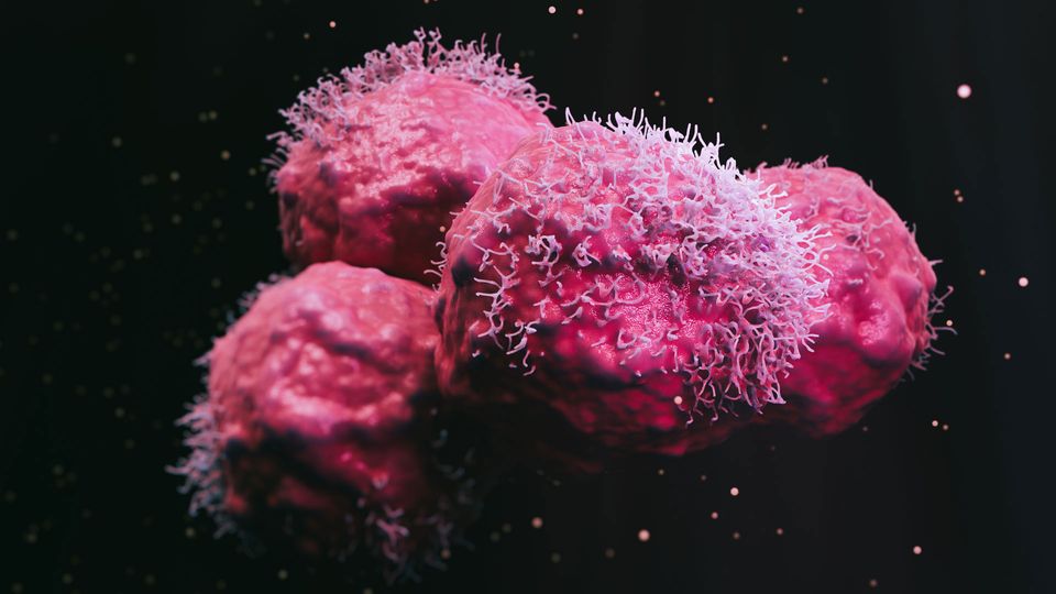 Illustration of pink microscopic cancer cells.