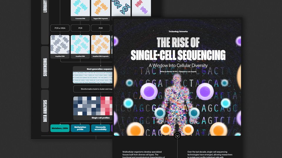 Illustrated cover and infographic explaining single-cell sequencing workflow and cellular diversity.