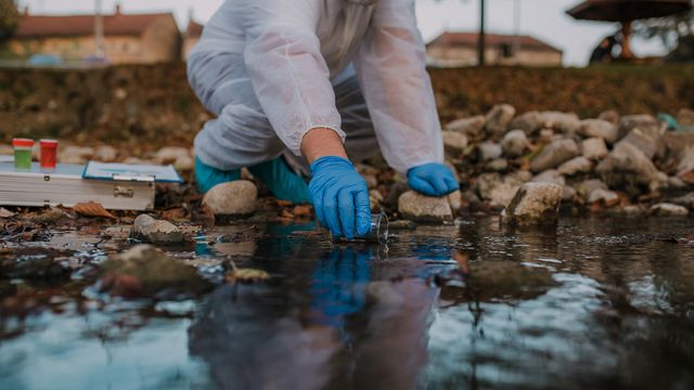 Scientist in protective gear collecting water sample from a stream to test for environmental pollutants. 