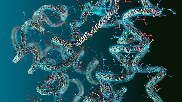 3D molecular structure showing protein fragments. 