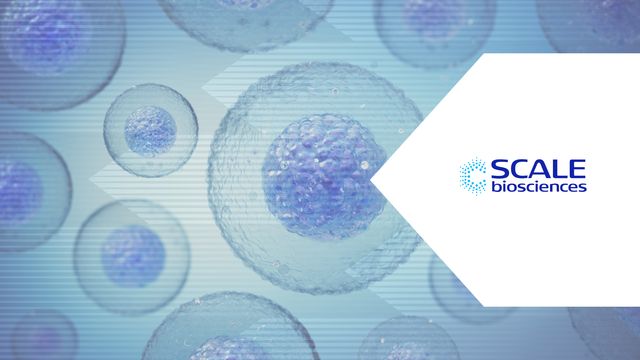 Microscopic view of cells with digital overlay representing single-cell 'omic data analysis. 